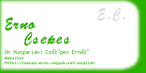 erno csepes business card